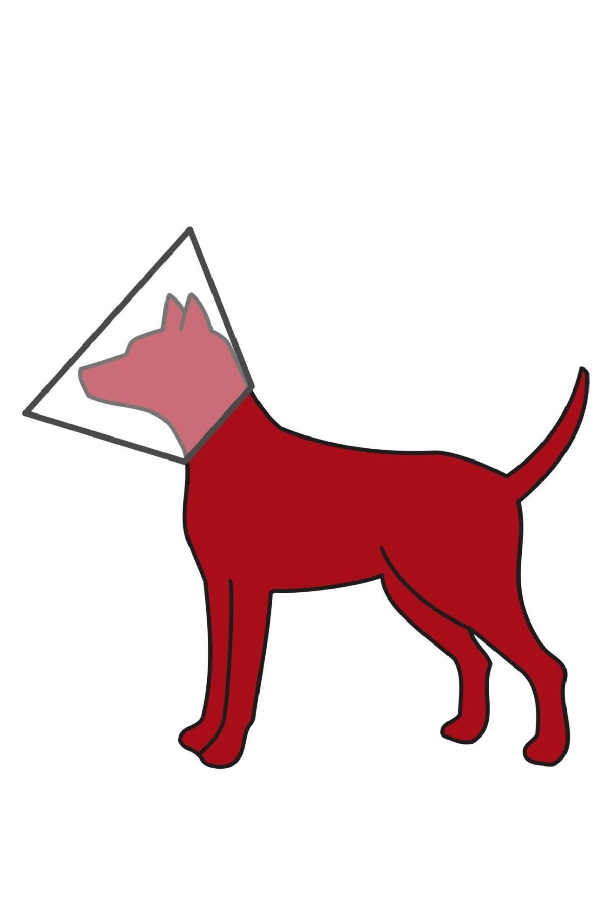 Trixie Köpekler İçin Cırt Cırtlı Koruyucu Tasma 44-53 CM 