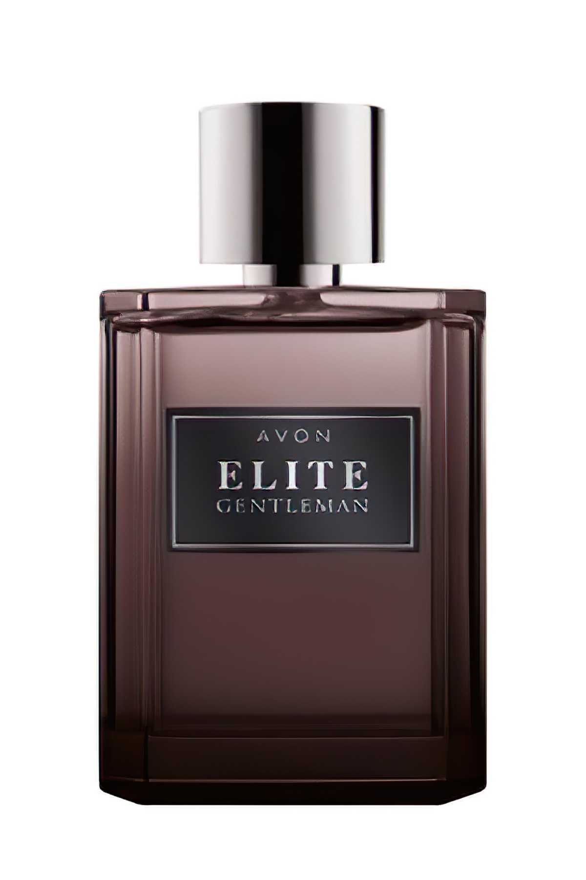 Avon Elite Gentleman Erkek Parfümü (75 ML)