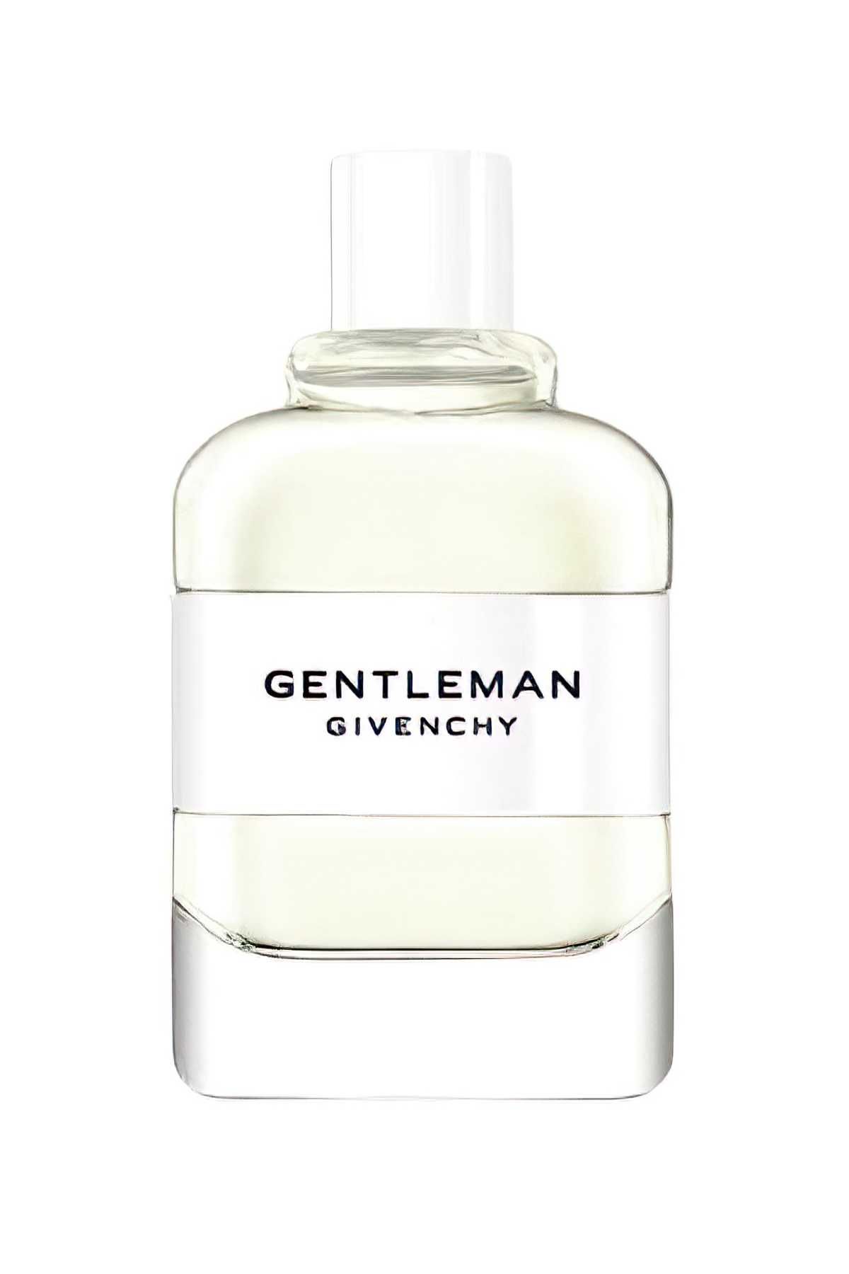 Givenchy Gentleman Silver Erkek Parfüm 100 ML