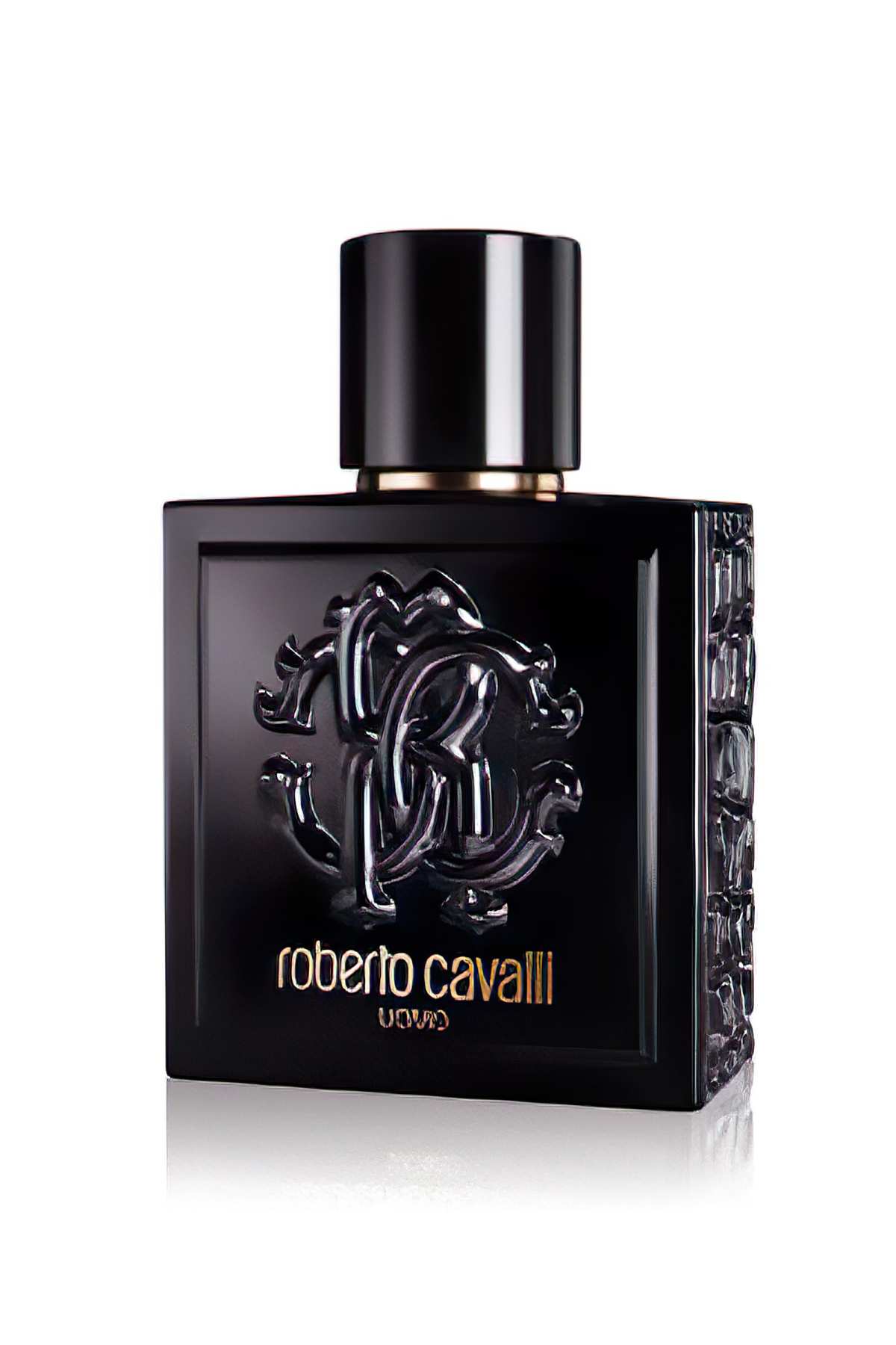 Roberto Cavalli Uomo 100 ML Erkek Parfüm
